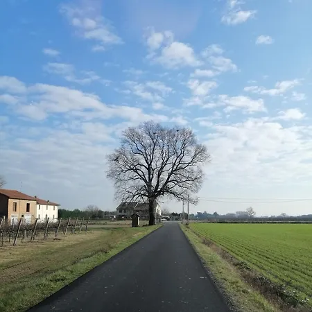Corte di Maggio B&B-2